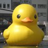 りょうかな 的头像