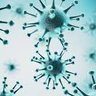 Infectious Diseases Scandinavia's profile picture