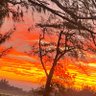 Profilbild von Kassius Singh Ravindiran