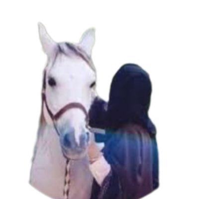 honest_H_B's profile picture