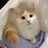 latte's profile picture