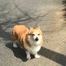 n's profile picture