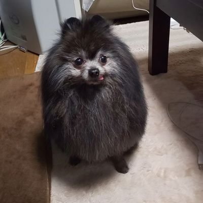 ショコラ🌈0084's profile picture