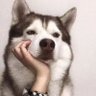 Juicy Wong profil fotoğrafı
