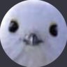 ルシおーる's profile picture
