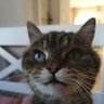 Nelena 74's profile picture