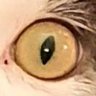 JeremyAsksWhy's profile picture