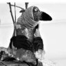 Profilbild von Pechschwarz mit Glitzer