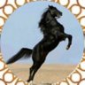 بنت ابوها البدوية🇦🇪 profil fotoğrafı