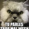 Gue Sasha profil fotoğrafı