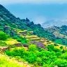 Abo Khalid Al.S profil fotoğrafı