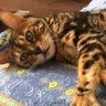 Tjack profil fotoğrafı
