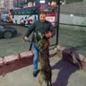 Profilbild von السيد الجوهري فتوح