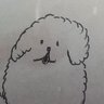 春風のムクドリ profil fotoğrafı