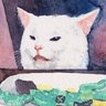 Pr3Y4s V W01fr1tt's profile picture