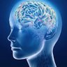 Global Thinker's profile picture