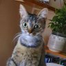 Te_o_dora profil fotoğrafı