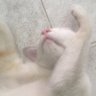 pppp profil fotoğrafı