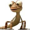 Occu06's profile picture