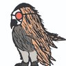 Profilbild von The Owl