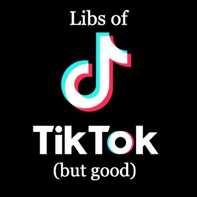 LeftWingTikTok's profile picture