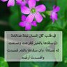 Z الأمل 的头像