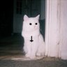 The Good Switch's profile picture