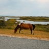 Genekap profil fotoğrafı