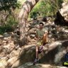 Pokémon tipo Roca 的头像