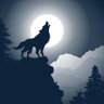 Profilbild von Nights Wolf