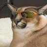 something something caracal 🐀 profil fotoğrafı