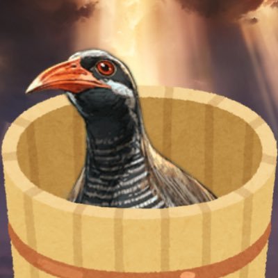 furooke_ances's profile picture