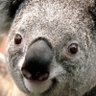 Bruce Williamson's profile picture