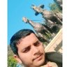 Rohit Raj profil fotoğrafı