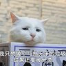 ミミモモ's profile picture