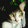 Фото профиля Rosario Cano