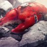 Profilbild von 死んだ蟹腕🦀