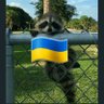 Escape Velocity... AKA Matthew 🇺🇦 的头像