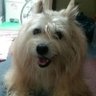 MAYU.s profil fotoğrafı