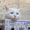 Фото профиля 薄荷呀
