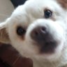 lalywr's profile picture