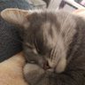 jill's profile picture