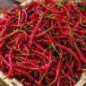 cabe cabean sachet's profile picture