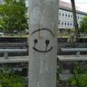 hari ini aku belajar's profile picture