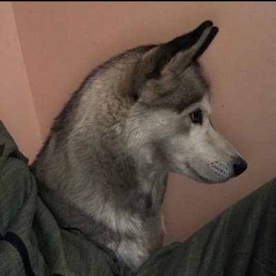 Liquid Prti's profile picture