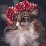Фото профиля Lerick