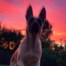 Berk Çetin profil fotoğrafı