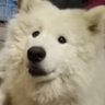 Profilbild von Инна