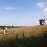 Vanesko profil fotoğrafı
