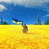 movywa4indude 🏴💙💛 profil fotoğrafı